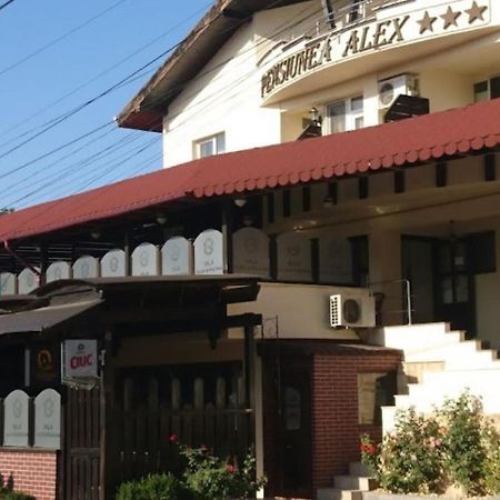 Vila Alex&Razvan Tulcea Exterior foto